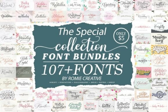Elevating Visual Identity: Why The Special Collection Font Bundles Is Essential for Modern Creators