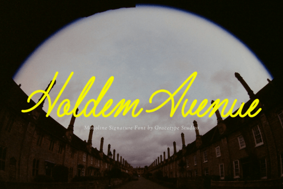 Holdem Avenue: A Practical Guide to Premium Script Typography